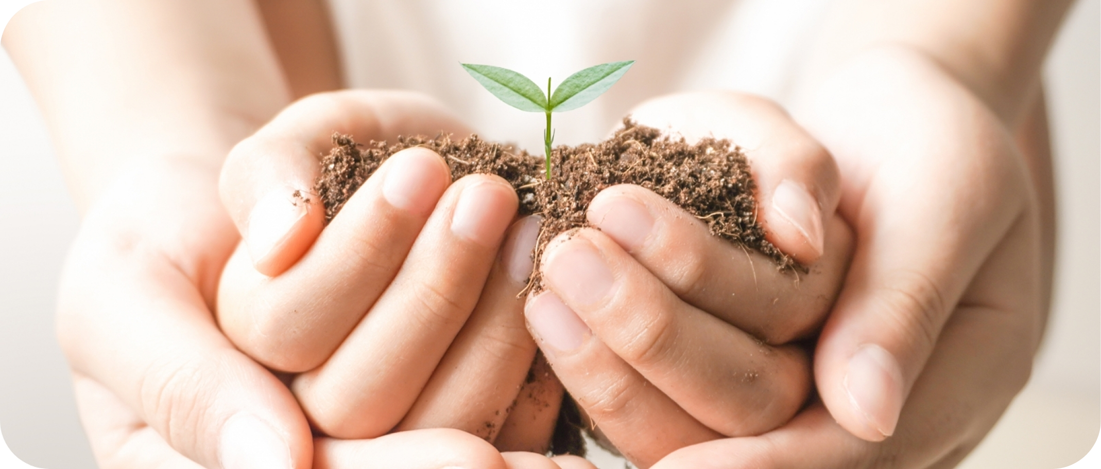 プライバシーポリシー